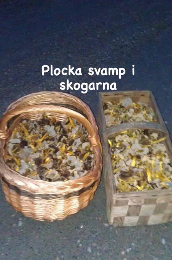 Sigridstorp Asljunga Βίλα Orkelljunga Εξωτερικό φωτογραφία